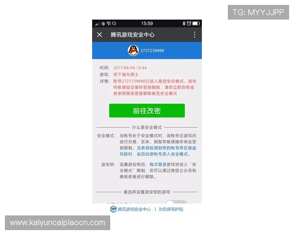 开云电游游戏安全保障措施全面解析，保障玩家账号信息与资金安全